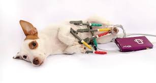 Eletrocardiograma (ECG)